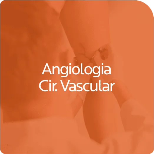 angiologia angiologia