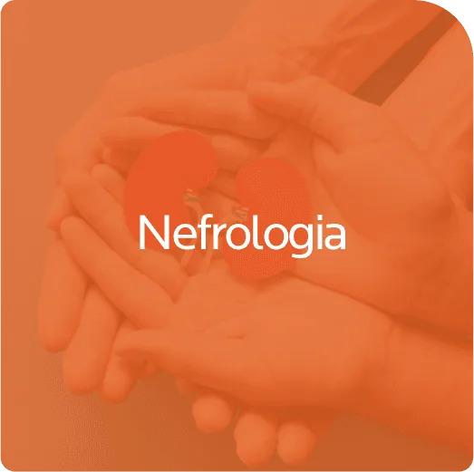 nefrologia nefrologia